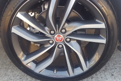 GuardsAll Rims - Black instert in Black Mounting track